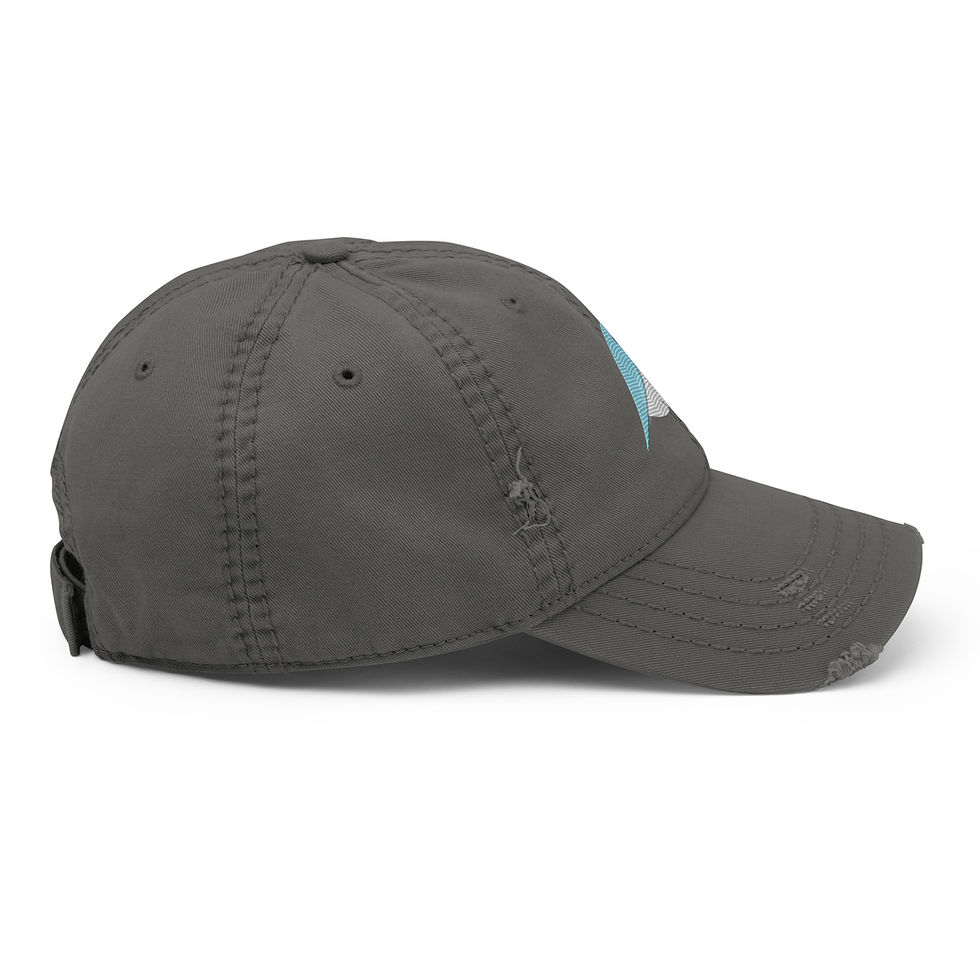 Thumbnail: Momma Bird Distressed Hat