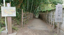 ひよどり坂(区間3)