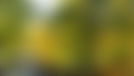 How to Tune Into Autumn's Energy for Immune System Health