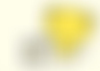 蓄電池って付けたほうがいい??