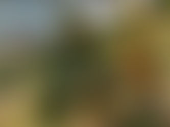 冬の恒例行事🍊✂️