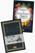 TRATADO DE METAPSÍQUICA - CAPA.png