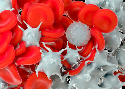 PRF courses, Platelet Rich Fibrin, PRF Education courses, A-PRF, i-PRF, PRF Education, PRF training, PRF