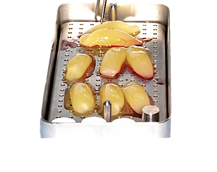 PRF course, Platelet Rich Fibrin, PRF Education courses, A-PRF, i-PRF, PRF Education, PRF training, PRF