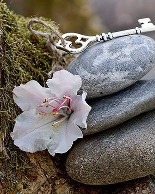 stones-3364325_1920.jpg