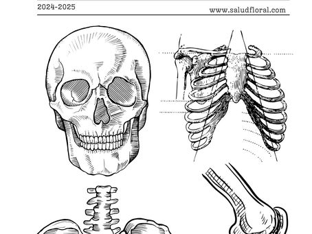 Club de lectura anatomía humana