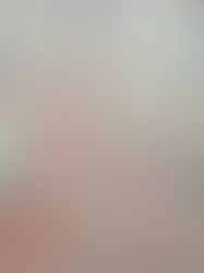 ECCジュニア児童英検