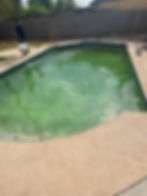 IMG_3270 1.jpeg