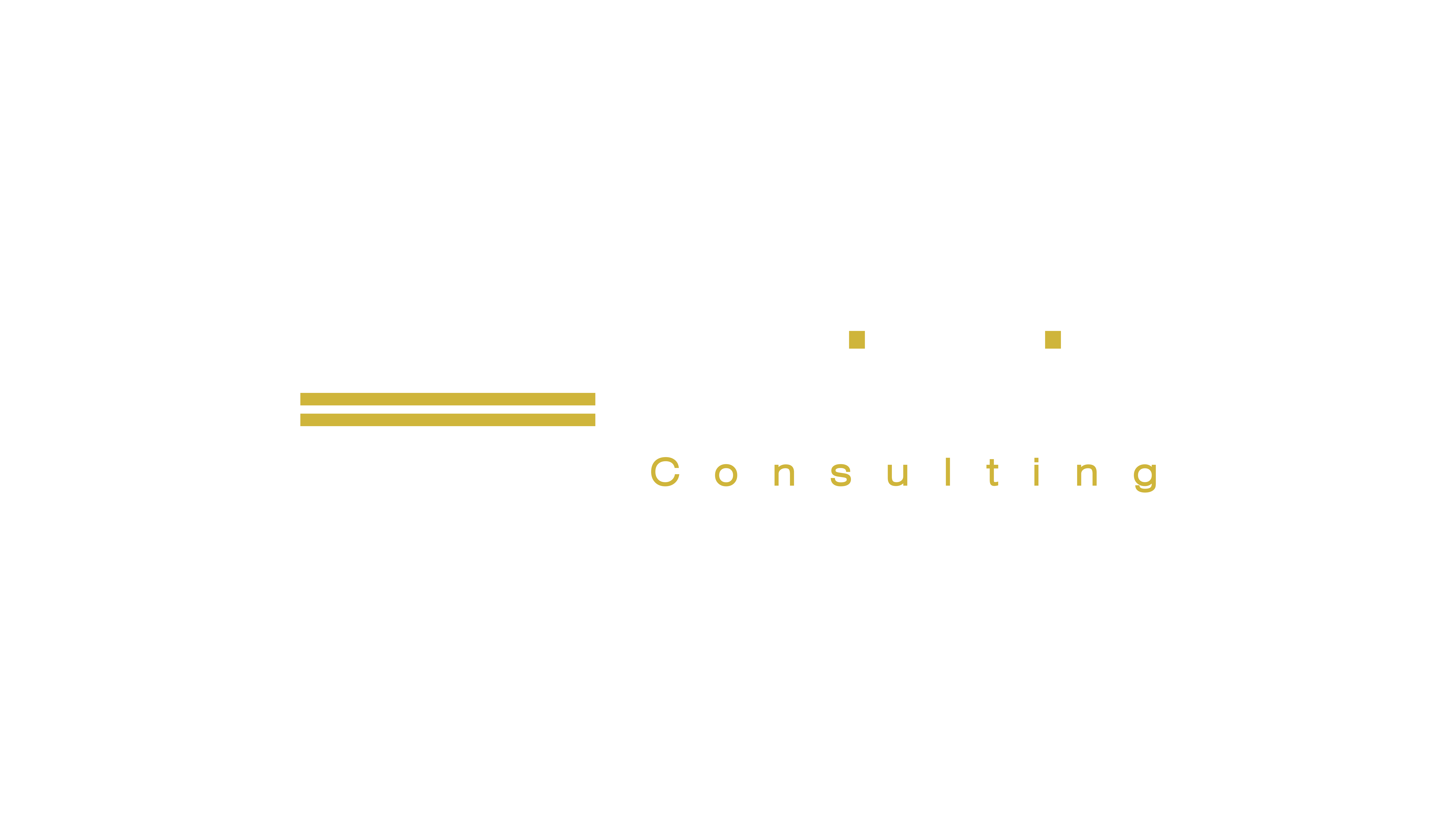 Inviscid logo - horizontal transparent bg - white color.png