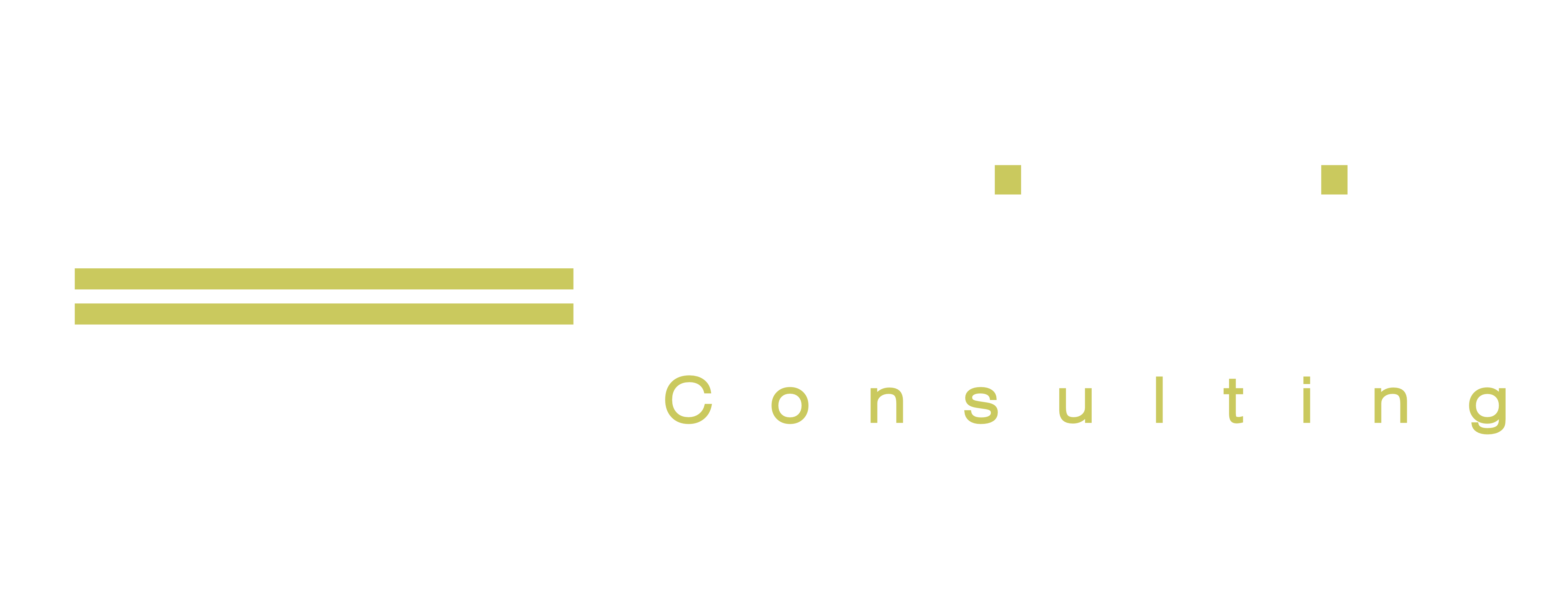 The Inviscid Logo 