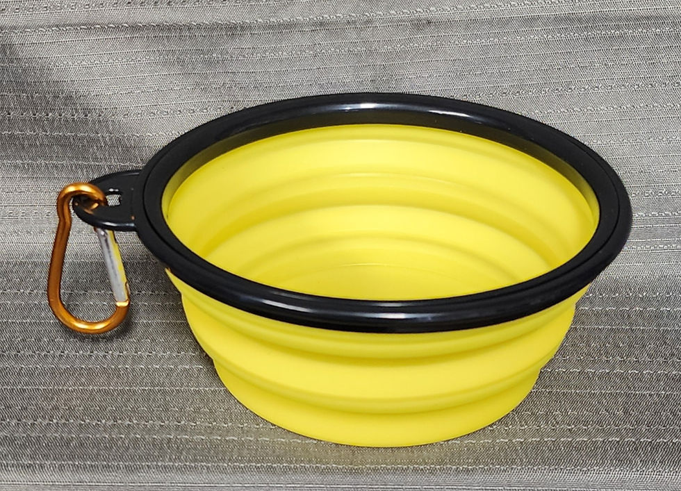 Thumbnail: Collapsible Water Bowl (Mult. Colors)