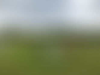 曇天のパークヨーガ