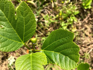 リフレッシュにおススメ