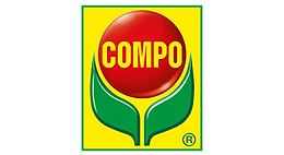 Grafica sito (64).png