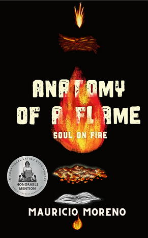 AOF New book cover_edited.png