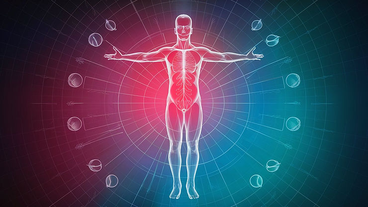 représentation symbolique de l'homéostasie