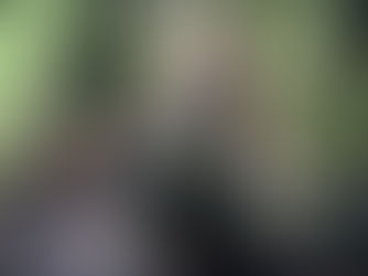 Lost in Time: Ka Papa Cedars Trail