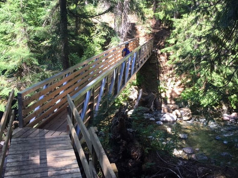 Lost in Time: Ka Papa Cedars Trail