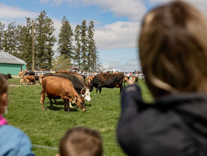 Spring Fling - A Bloomin' Good Time To Visit Creston Valley