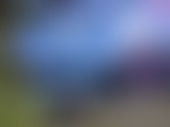 Stagleap Provincial Park