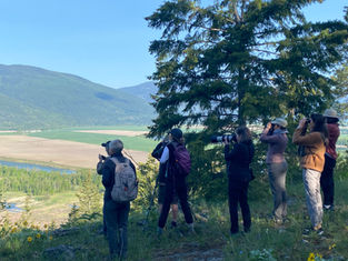 Creston Valley Bird Festival