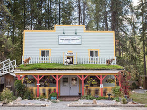 Journey to Yahk N' Back - A Guide to Exploring BC's Quirkiest Village