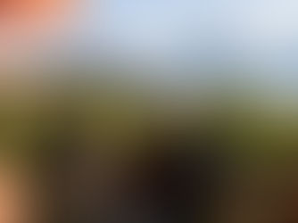 Enjoying a autumn sunrise and coffee with a view of the orchards and Skimmerhorn mountains in Erickson, BC