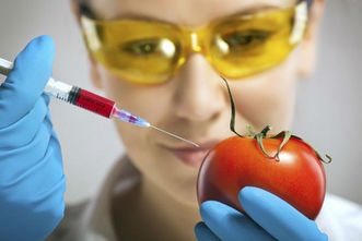 Alimentos Transgénicos