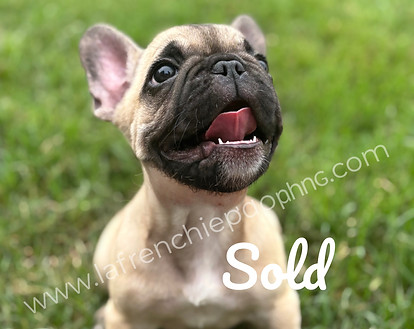 IMG_4104_edited_edited_edited_edited_edi