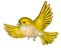 Website - Home - Flying Bird.png