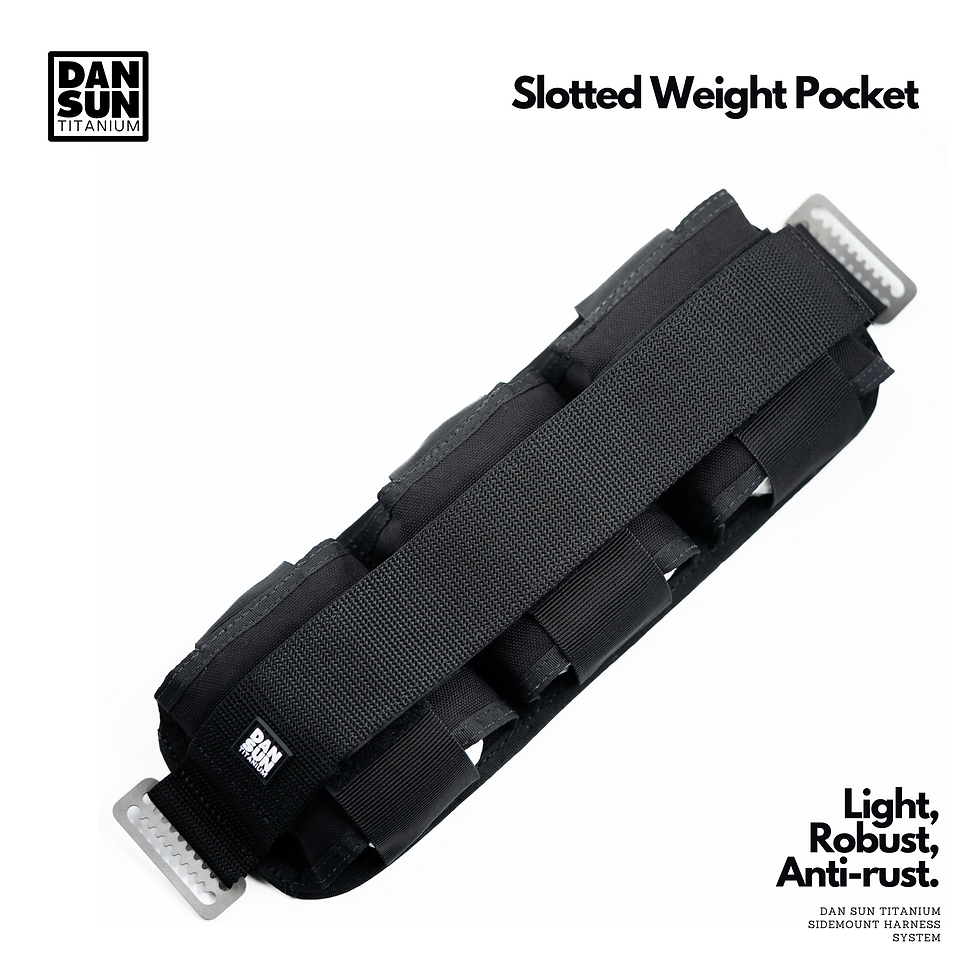 Thumbnail: TITANIUM "AGENT" SIDEMOUNT BCD