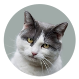 A New Design (1) - Made with PosterMyWall.png