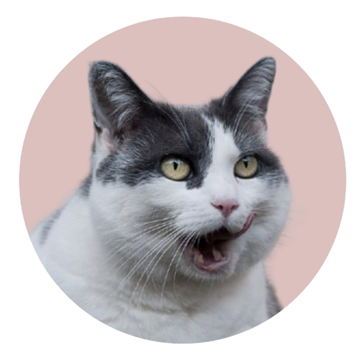 Mask Mauw (2) - Made with PosterMyWall (2).png