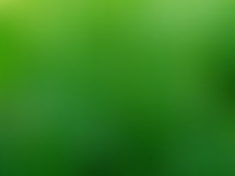 How To Improve Drainage In Your Lawn