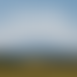 Buying land in Colorado? Learn how title insurance protects against boundary, mineral, and access issues. Trusted by land buyers statewide.