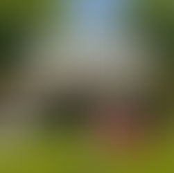 Buying or selling a home through an estate sale? Learn how title insurance prevents heir disputes and protects ownership in Colorado.