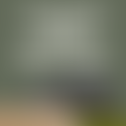 Protect property held in trusts. Learn how Colorado title insurance ensures clean, secure trust transfers with Jerad Larkin at Chicago Title.