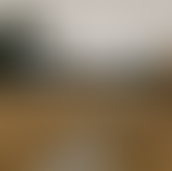 Learn how title insurance protects Colorado property owners from easement and right-of-way disputes. Contact Jerad Larkin at Chicago Title Colorado for expert support.