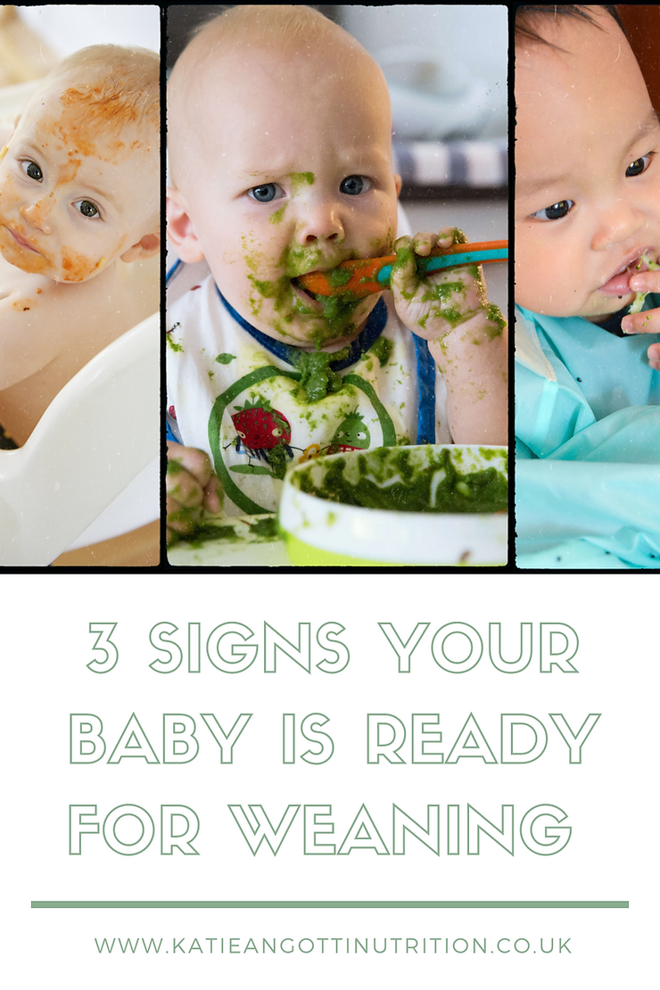 Weaning baby introducing solids baby eating food from a spoon sat in a highchair 