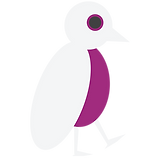 Cloak Records Birds White.png