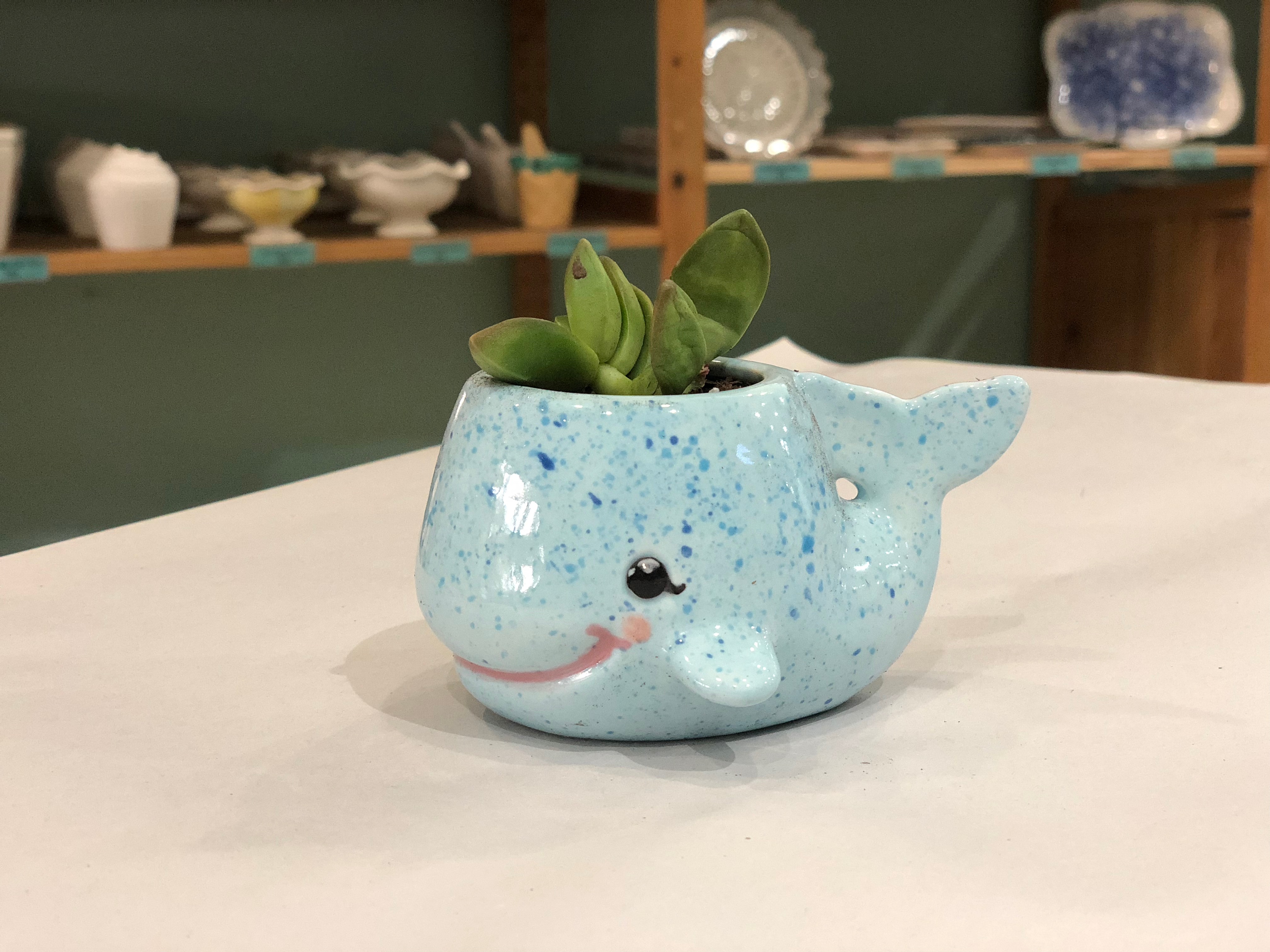 paint your pottery austin