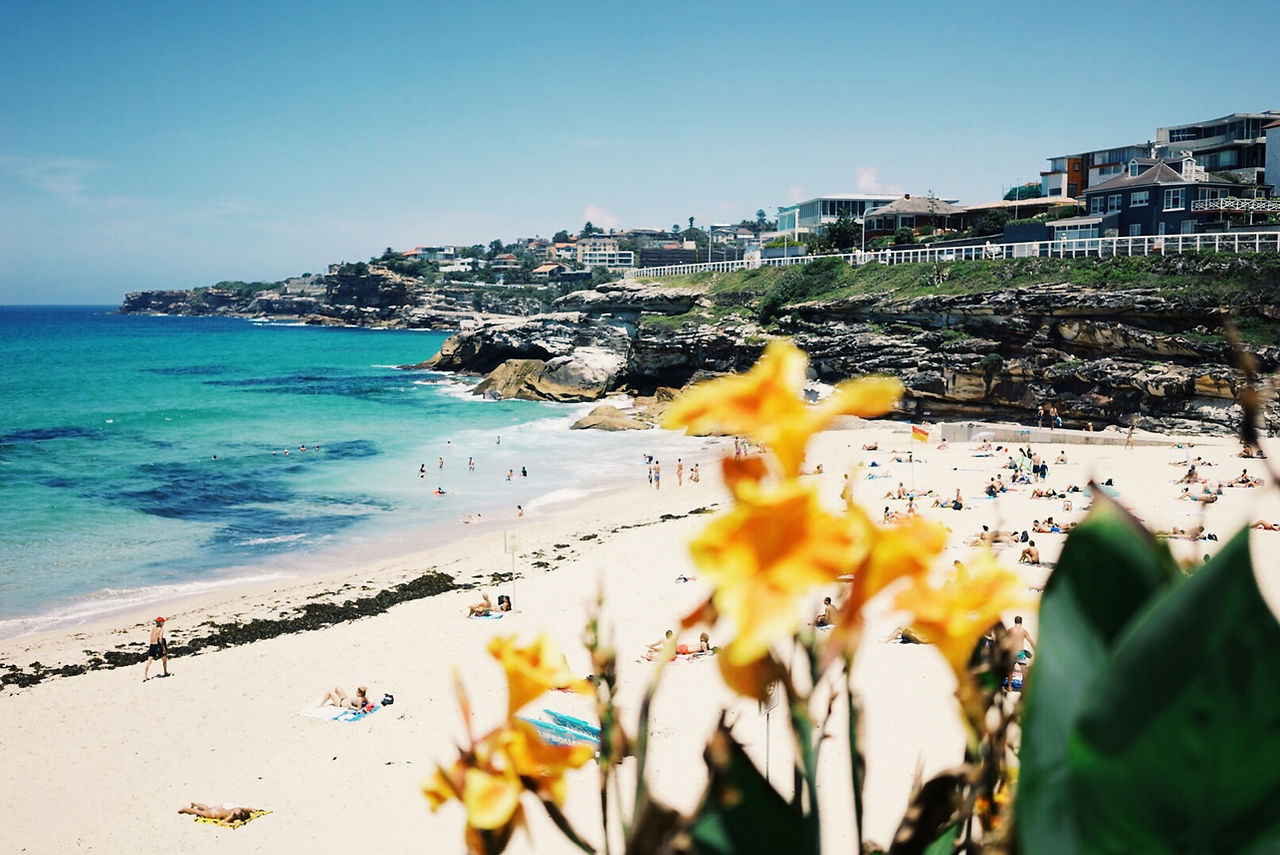 Tamarama Beach