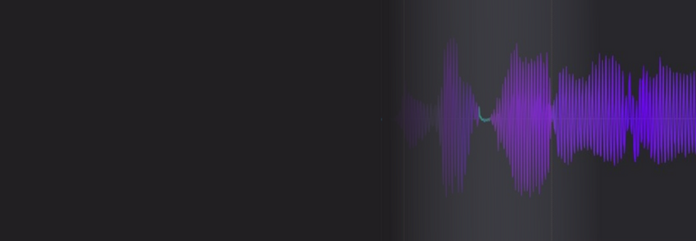 AP Portfolio banner.png