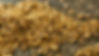 gold-nugget.jpg