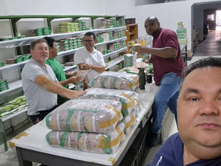 STILASP visita Grão Kamut