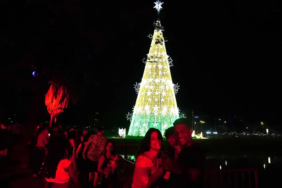Portal STILASP: A maior árvore de Natal de São Paulo já ilumina o Parque Ibirapuera