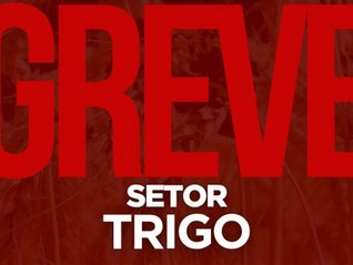 TRIGO | ESTAMOS EM GREVE!