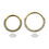 Miniatura: 14Kt Yellow Gold Eternity Front Facing Hinged Segment Clicker with Prong Set 1mm