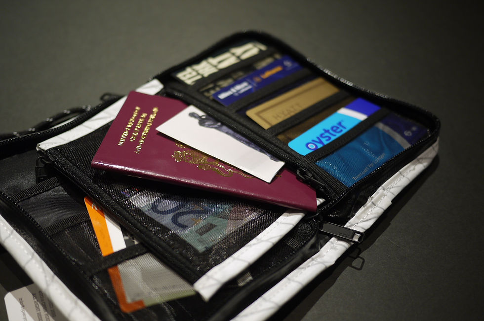 Thumbnail: F/CE. X-PAC Passport Case - Black