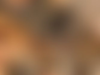 【ANCHOR BRIDGE ITALY LEATHER LONG WALLET】